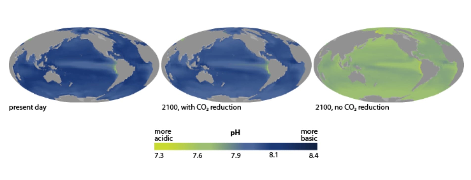 World ocean map showing severe acidification is likely by 2100
